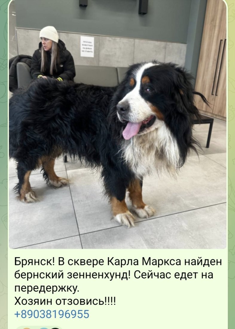 Screenshot_20260121_160119_Telegram.jpg