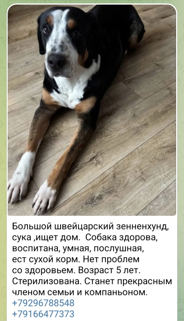 Screenshot_20260123_194421_Telegram.jpg
