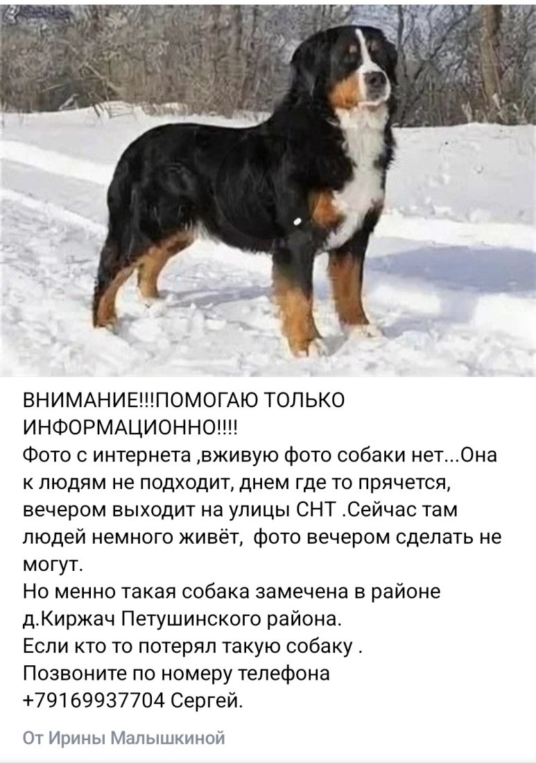 Screenshot_20260130_204316_VK.jpg