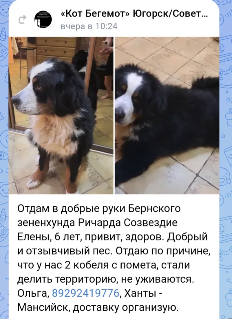 Screenshot_20260203_170603_VK.jpg