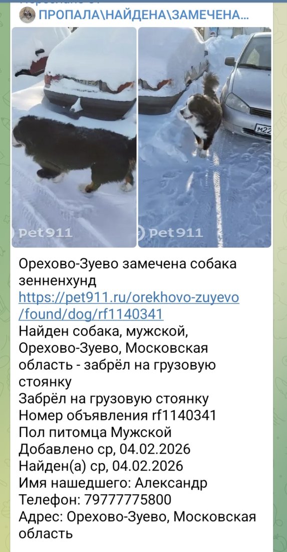 Screenshot_20260204_131829_Telegram.jpg