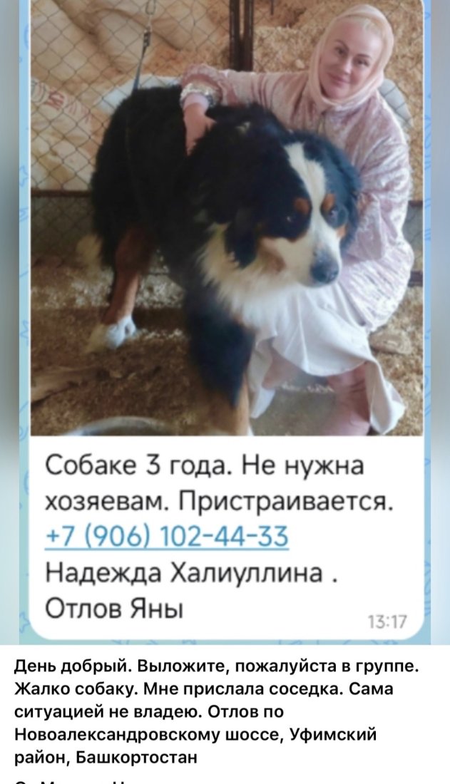 Screenshot_20260325_111950_VK.jpg
