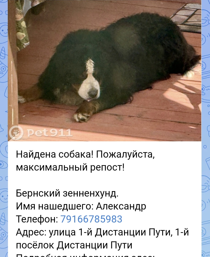 Screenshot_20260526_124533_VK.jpg