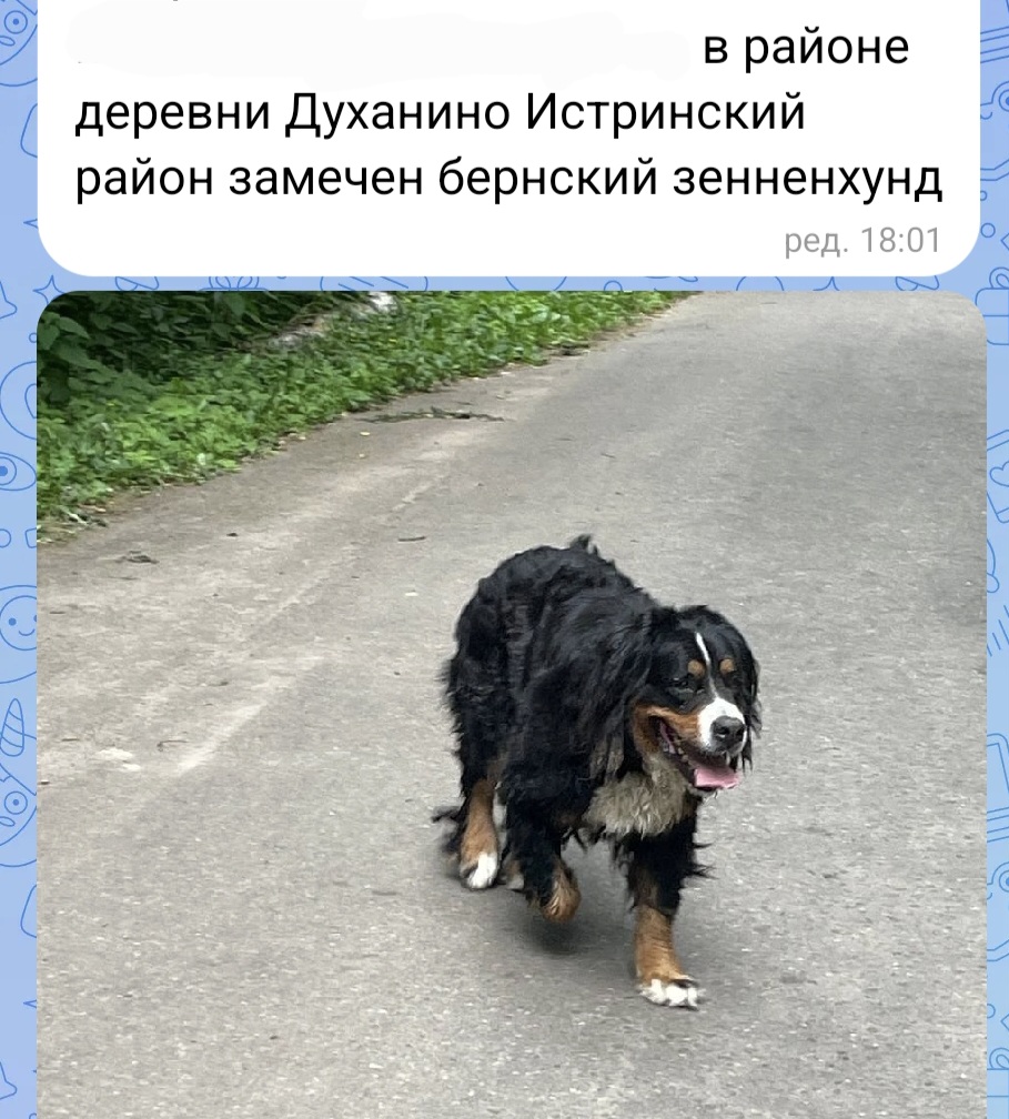 Screenshot_20260613_182617_VK.jpg