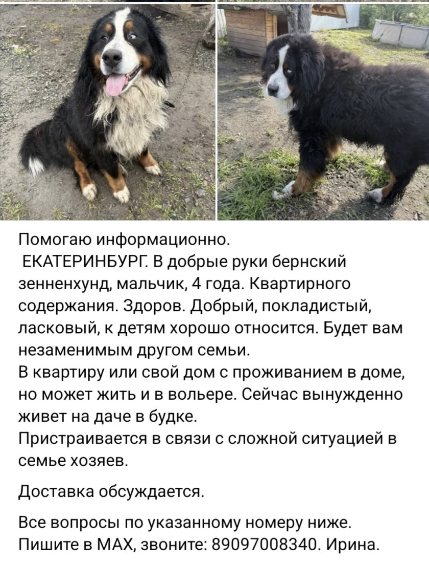 Screenshot_20260616_082101_VK.jpg
