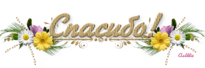 2714026-1b87b62ac5028c11.png
